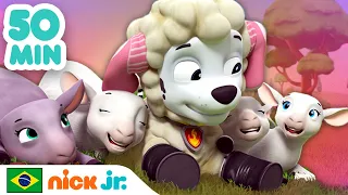 Patrulha Canina | 50 minutos da Patrulha Canina salvando animais da fazenda! | Nick Jr. em Português