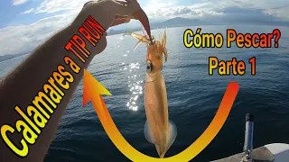 🔴HOW to fish SQUID at TIP RUN from BOAT (Part 1) Eging