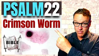 The Great Mystery Revealed: The Crimson Worm Of Psalm 22. It's Life Shows The Cross & Blood of Jesus