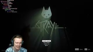 Insym Plays a Cute Cat Game (Stray) - Livestream from 19/7/2022