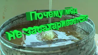 Профессор Кашковский: Почему мёд не засахаривается?