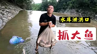 The reservoir has flooded and the big fish have been washed out