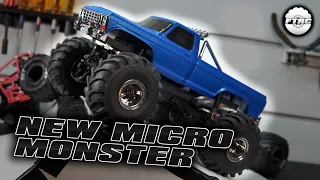 A New RTR Micro Monster Truck | FMS 1/24 Max Smasher!!