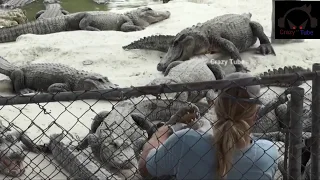 Alligator attack caught on camera / hug reptiles snaps man's hand