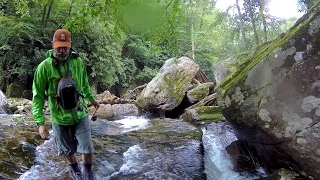 Backcountry Fly Fishing For Brook Trout In Great Smoky Mountains National Park