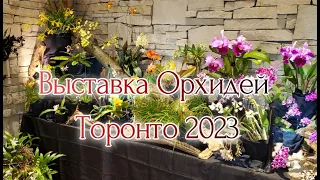 Выставка орхидей Торонто 2023 Часть 2