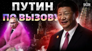 Смотрите, Путин по ВЫЗОВУ! Си устроил публичную порку кремлевскому деду