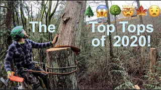 2020 Epic Tree Topping Compilation!!!