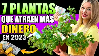 ¡ESTAS son LAS 7 PLANTAS! Que Atraen Más DINERO 💰 en 2023