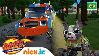 Blaze e AJ encontram um cachorrinho perdido! | Blaze e os Monster Machines