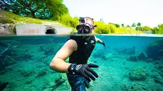 Treasure Hunting Miami's DIRTIEST Underwater Canal!! (beautiful fish)