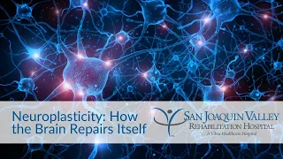 Neuroplasticity: How the Brain Repairs Itself | San Joaquin Valley Rehabilitation Hospital