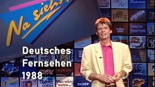 Fernsehen im Jahr 1988