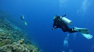 Scuba Diving in the Maldives - Addu Atoll