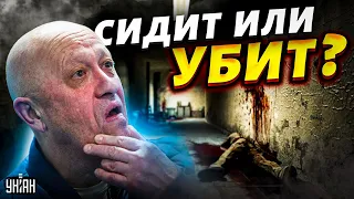 😱 Пригожин убит или сидит. Жирнов шокировал инсайдом: где повар Путина?