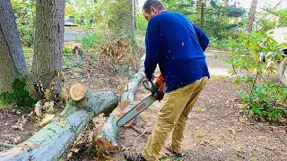 Cutting fallen oak limb for customer at FIREWOOD delivery