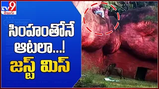 Nehru Zoological Park: జూ పార్కులో సింహం ఎన్‌క్లోజర్ దగ్గర యువకుడి హల్​చల్ - TV9