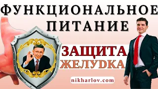 Функциональное Питание и опасные болезни желудка, двенадцатиперстной кишки, поджелудочной железы.