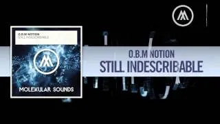 O.B.M Notion - Still Indescribable FULL (Molekular Sounds)