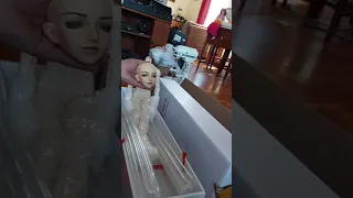 Hybrid BJD: The Body Has Arrived! Unboxing