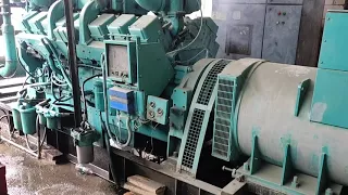 1250 kva cummins diesel generator