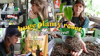 🌿 organizing my plant care supply cart, new plants, pot haul, + more!! may reset 🌿