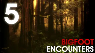 5 TRUE SCARY BIGFOOT ENCOUNTERS (Sasquatch, Bigfoot) - What Lurks Beneath