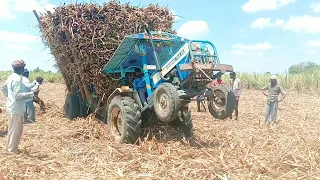 Swaraj 744 FE Tractor stuck with full loaded sugarcane trolley | Mahindra tractor power | CFV