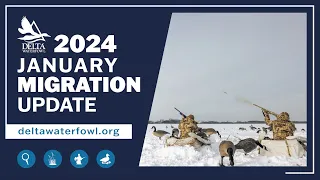 January Migration Update 2024
