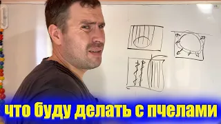 Скоро буду поджимать пчел на пасеке? Зачем это делать