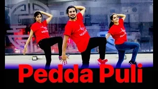 Pedda Puli dance video song | teen maar dance | Chal Mohan Ranga Movie Songs | saadstudios