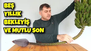 Yıllardır Uğraşıyordum ve Başardım