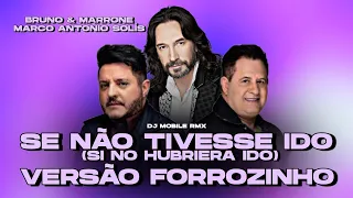 FORROZINHO • Se Não Tivesse Ido (Si No Hubriera Ido) • Bruno & Marrone,Marco Antonio Solís (Dj RmX)