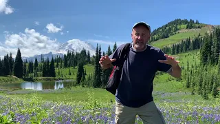 Identifying Mount Rainier National Park Wildflowers