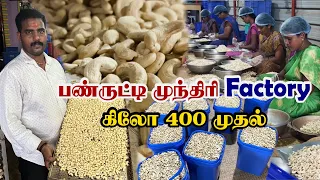 பண்ருட்டி முந்திரி Factory Tour | கிலோ 400 முதல் | Cashew Nut Processing Units | Wholesale Nuts