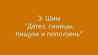 «Лесные приключения»