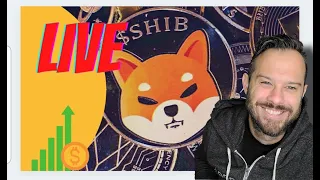 [LIVE] Shiba Inu Coin & AMC Stock Q&A Monday!