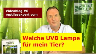 Welche UVB Lampe ist die Richtige für mein Tier? Empfehlungen für Terrarienbeleuchtung für Reptilien