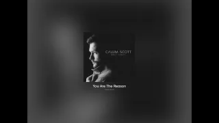 You Are The Reason - Calum Scott (Acapella - Vocals Only)