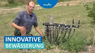 Landwirtschaft kämpft gegen Trockenheit | MDR um Zwei | MDR