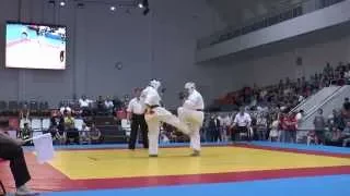 Brutal Knockout in Kyokushin