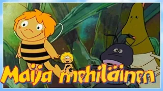 Maya the bee - Episode 47 - Anthony the Ant