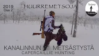 Kanalinnun metsästystä 2019 Osa 2 Huurremetsoja, Capercaillie hunting 2019 Part 2