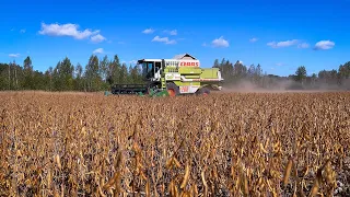 Молотимо сою.День 3 останній.Claas mega 208.Жатка флекс John Deere