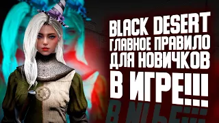 BLACK DESERT ГЛАВНОЕ ПРАВИЛО ДЛЯ НОВИЧКОВ В ИГРЕ!!!