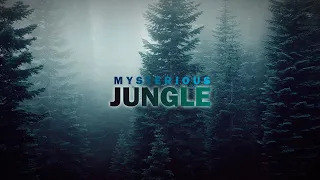 Mysterious jungle. Ambient, mysterious, horror no copyright background Music. Free music dome.