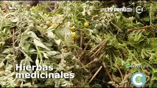 A la Cuenta de 3 (TV Perú) - Hierbas medicinales - 12/09/2017