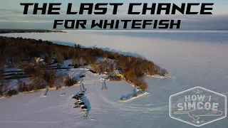 Lake Simcoe Ice Fishing for Whitefish