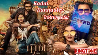 Kadai Kannaaley Instrumental Ringtone | Bhoomi Ringtone