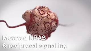 Cancer cell biology: mutated KRAS & reciprocal signalling